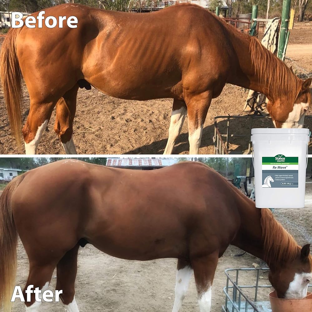 Stance Equitec Re Move Horse Supplement - 1.5 lb - image 6