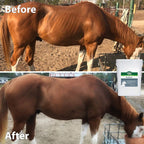 Stance Equitec Re Move Horse Supplement - 1.5 lb - image 6