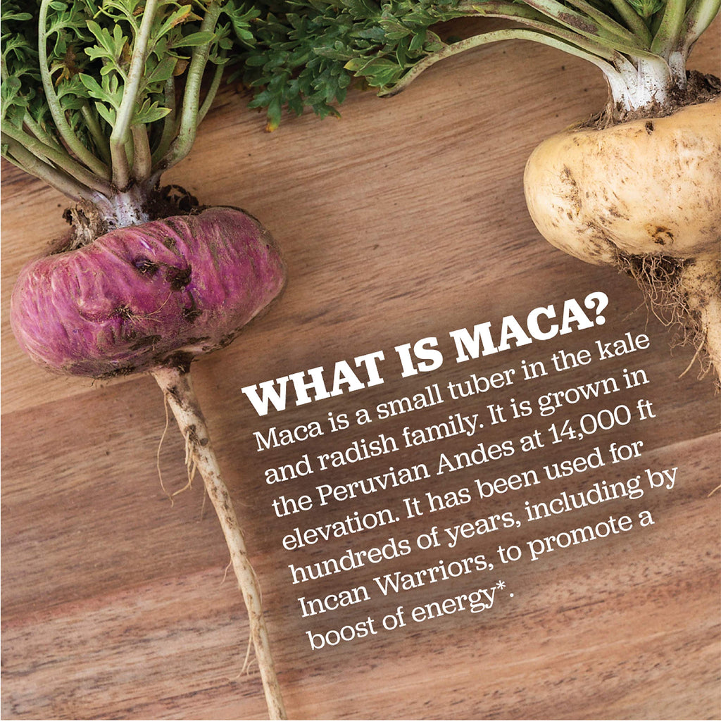 Maca Magic 100% Organic Raw Powder - 2.2 lbs - image 3