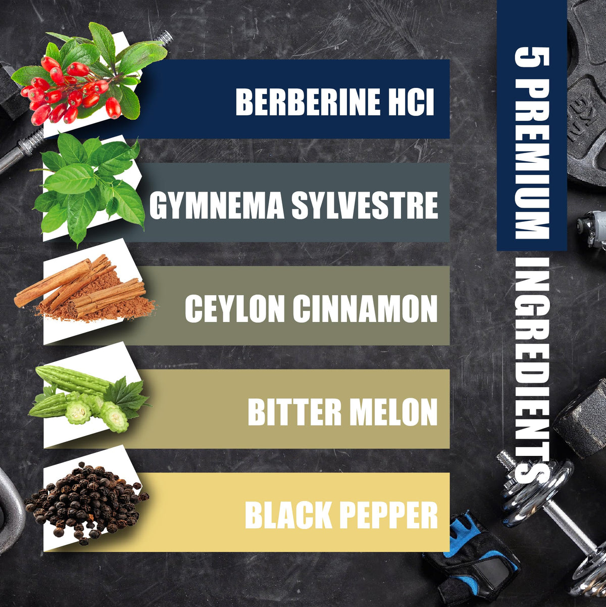 BMVINVOL 5-in-1 Berberine Supplement with Ceylon Cinnamon - 120 Capsules - image 4