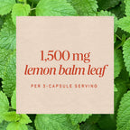Nature's Way Melissa Lemon Balm Leaf Sleep Support - 100 Capsules - image 4