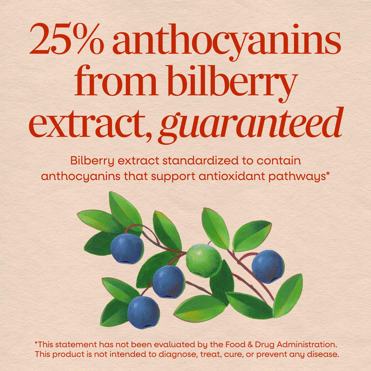 Nature's Way Bilberry Premium Extract