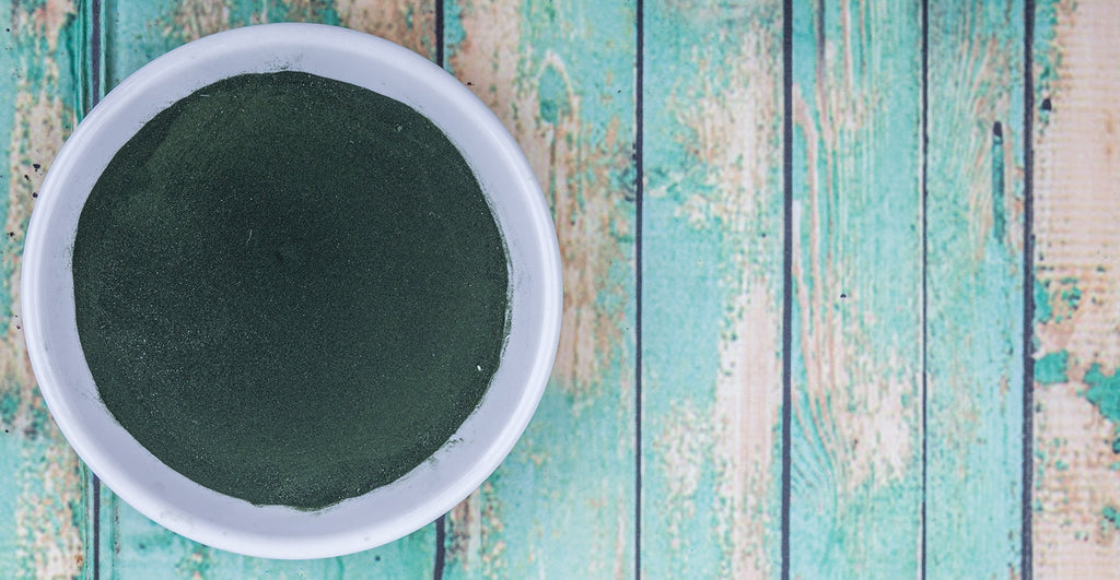 FEBICO Biophyto Chlorella Powder Cracked Cell Wall - 250g - image 6