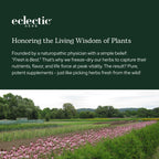 Eclectic Herb Organic Celery Juice Powder - 90 g - image 9