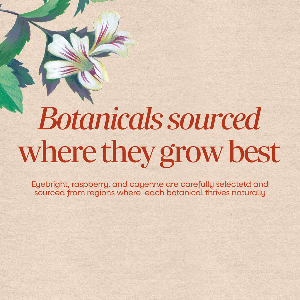 Nature's Way Eyebright Premium Blend Herbal Supplement - 100 Capsules - image 3