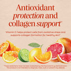 Nature's Way Vitamin C with Bioflavonoids Immune Support - 250 Capsules - image 3