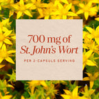 Nature's Way St. John's Wort 700 mg - 180 Capsules - image 4