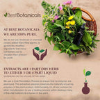 Best Botanicals Devil's Claw Root Powder - image 4