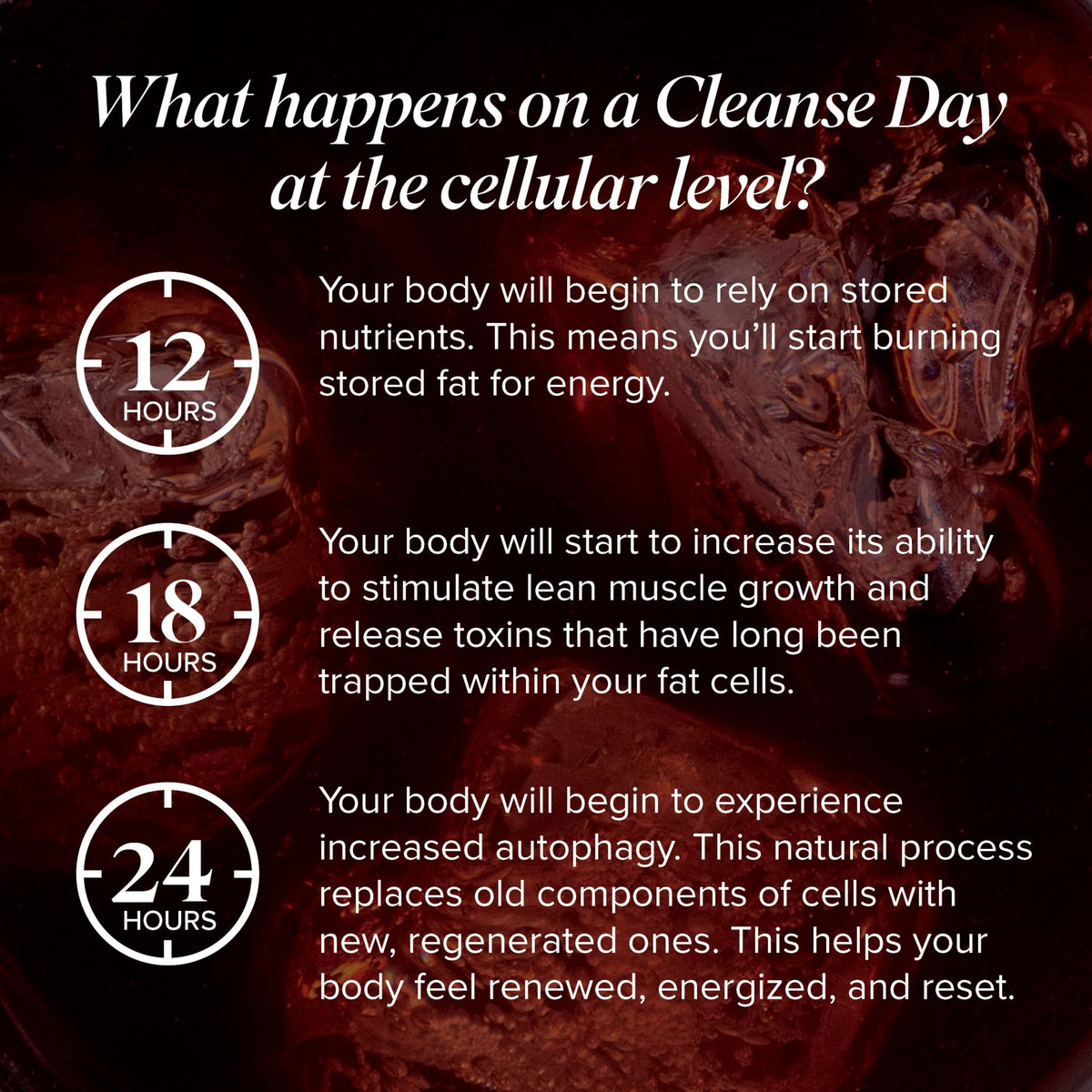 Isagenix Cleanse for Life - image 3