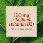 Nature's Way Riboflavin Vitamin B2 Cellular Energy Support - 100 Capsules - image 4
