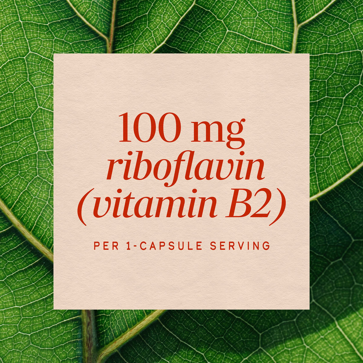 Nature's Way Riboflavin Vitamin B2 Cellular Energy Support - 100 Capsules - image 4