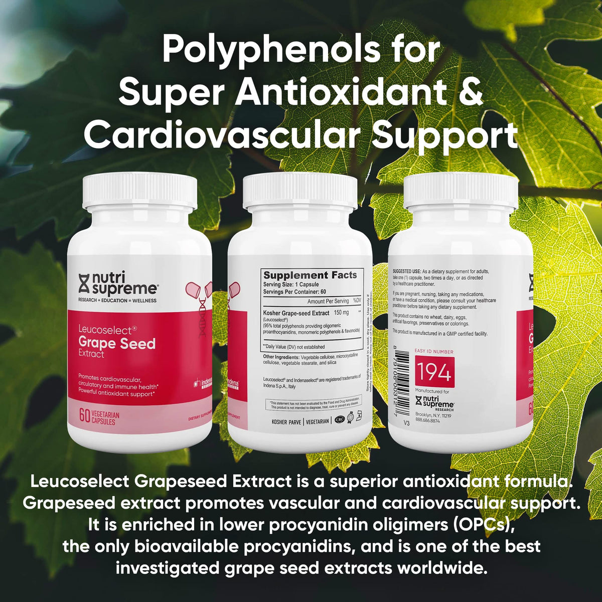 Nutri Supreme Grapeseed Extract Leucoselect - 60 Capsules - image 6