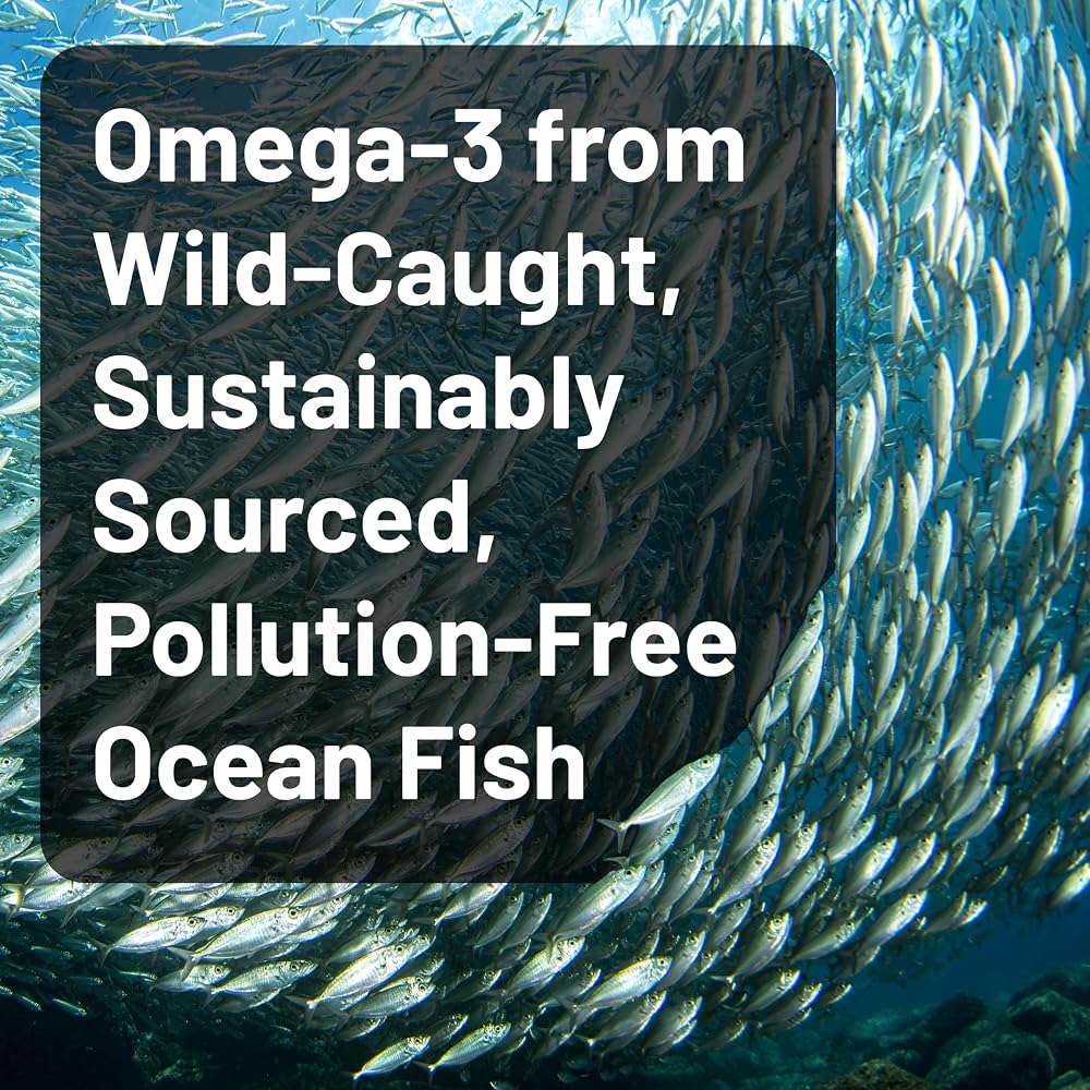 NatureWise High Potency Omega 3 from Wild-Caught Fish Oil with EPA