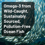 NatureWise High Potency Omega 3 from Wild-Caught Fish Oil with EPA