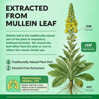 NUTRAHARMONY Mullein Lung Detox - Mullein Leaf Extract - Marshmallow