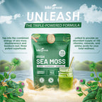 KIKI Green Irish Sea Moss Powder Immune Support - 8 Oz - image 2