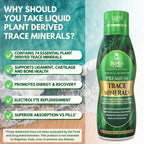 Tropical Oasis Ionized Plant Based Trace Minerals Liquid - 16 oz - image 4