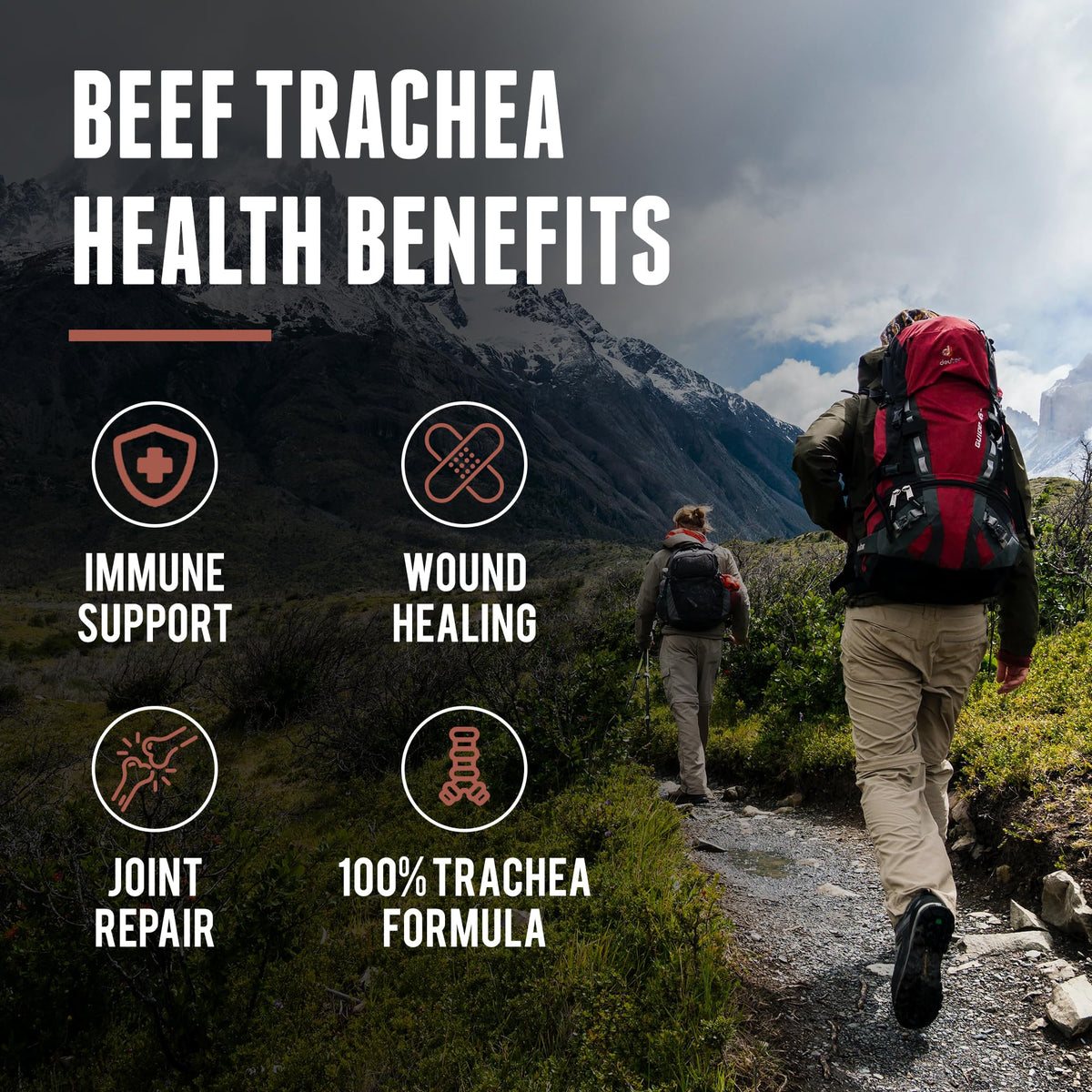 One Earth Health Grass Fed Beef Trachea - 200 Capsules - image 3