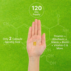 DEAL SUPPLEMENT Bioactive Vitamin B Complex - 240 Vegetarian Capsules - image 5