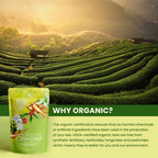 Gardenika Organic Green Loose Leaf Tea with Tulsi, Cloves & Cinnamon - 4 oz - image 5