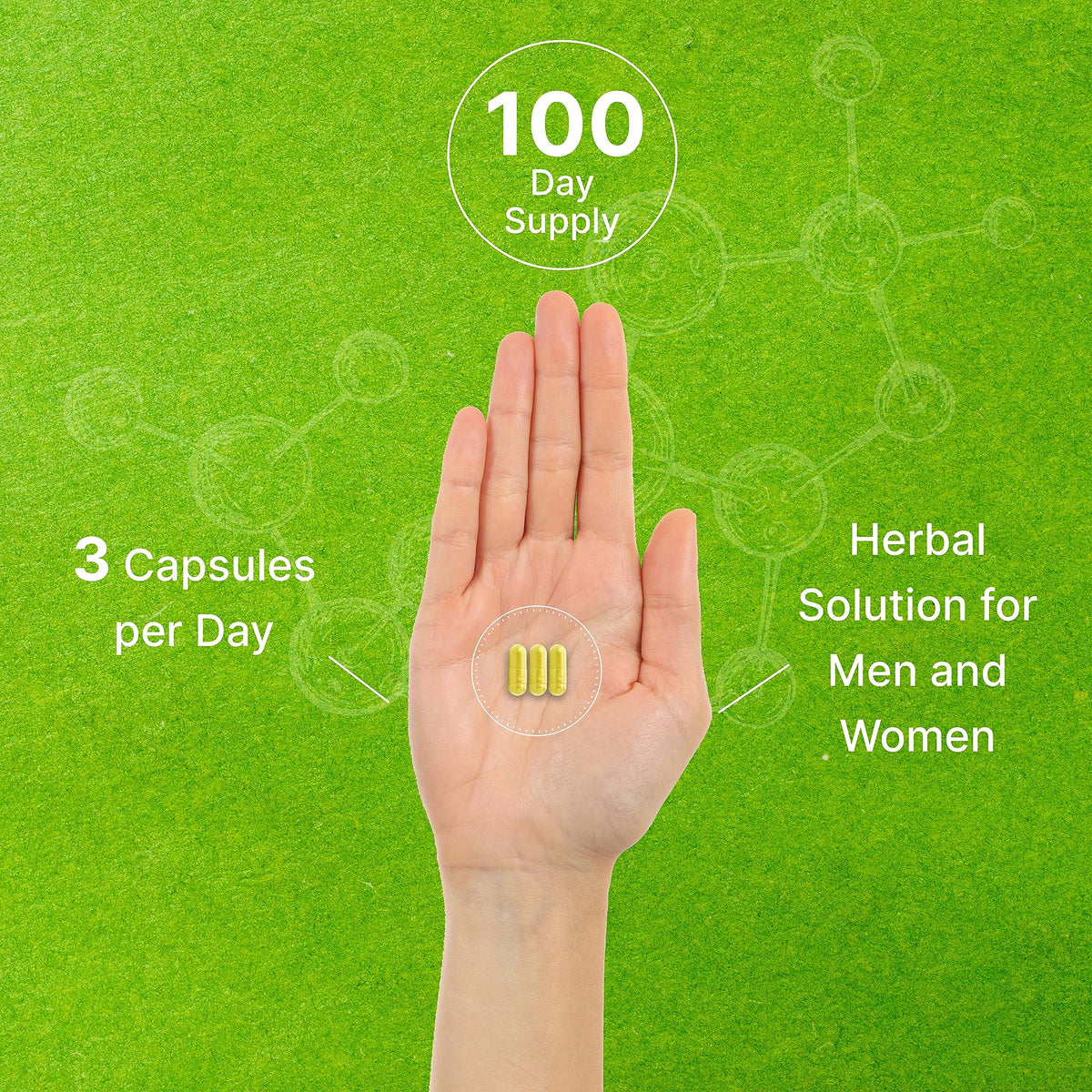 DEAL SUPPLEMENT Quercetin 1,000mg Immune Support - 300 Capsules - image 5