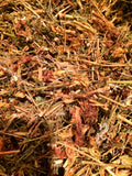 Organic Bio Herbs St. John's Wort Dried Herb - 2 oz