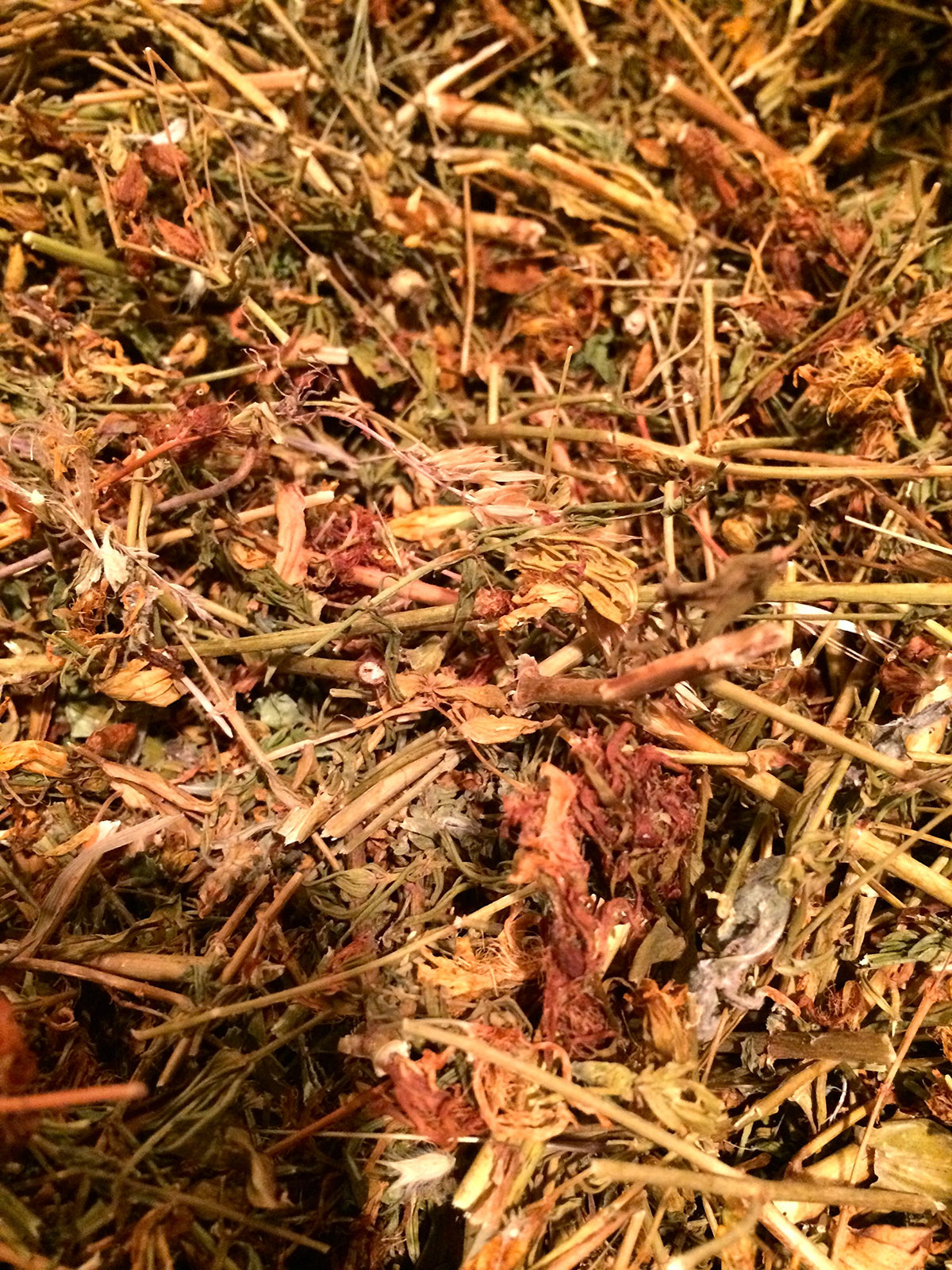 Organic Bio Herbs St. John's Wort Dried Herb - 2 oz