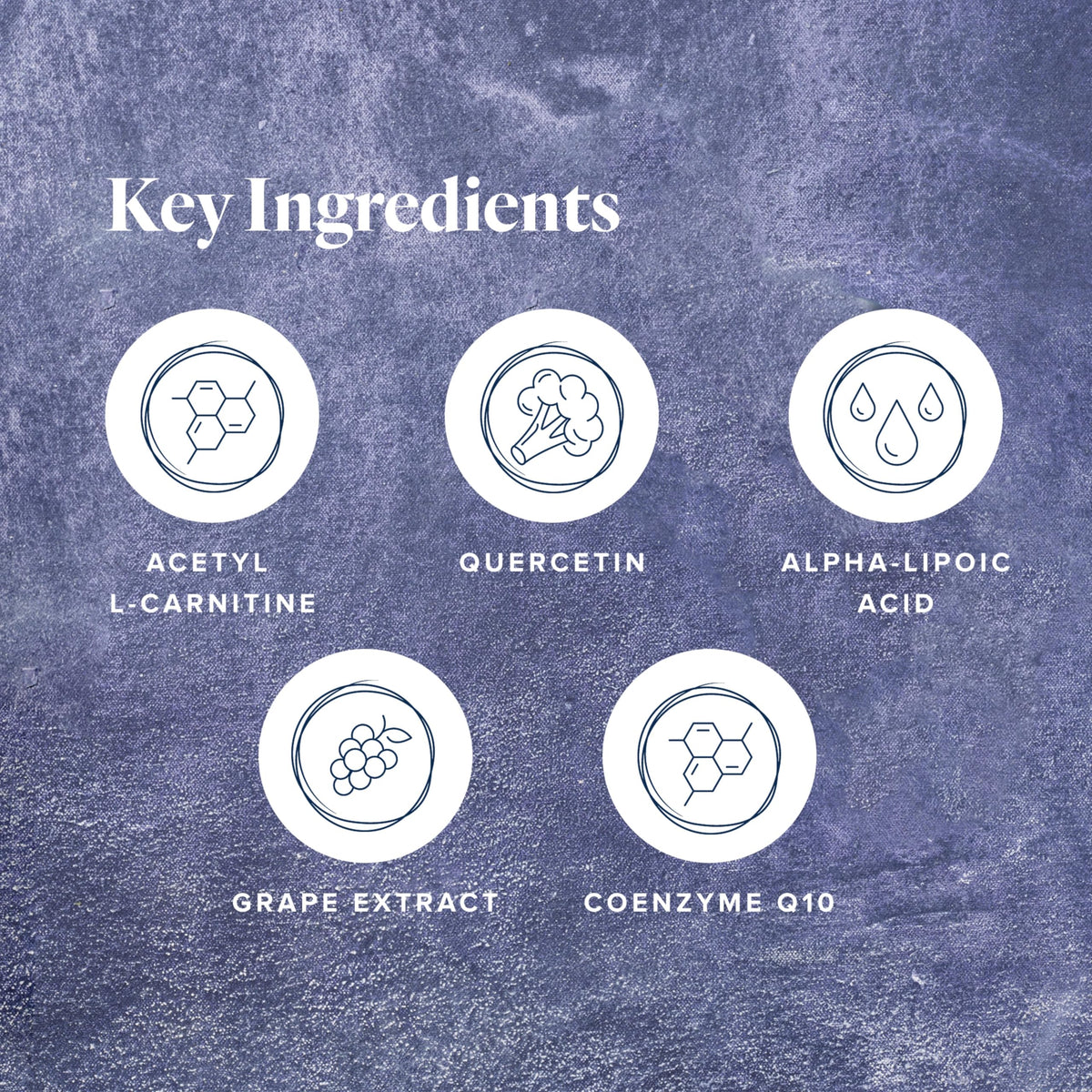 LifeVantage Protandim NRF1 Synergizer Mitochondrial Support - 60 Capsules - image 3
